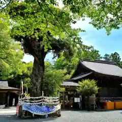 井伊谷宮の建物その他