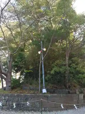 玉前神社(千葉県)