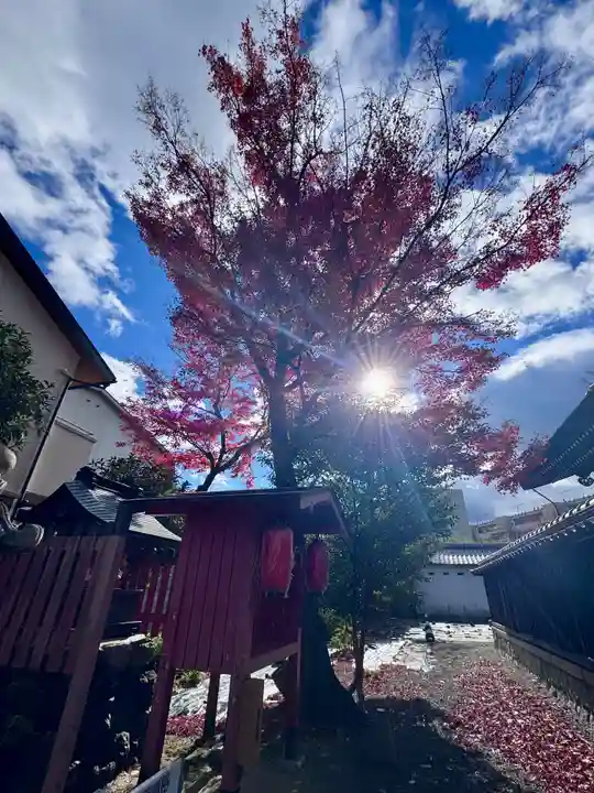 石坐神社(滋賀県)