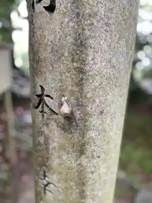玉祖神社の動物