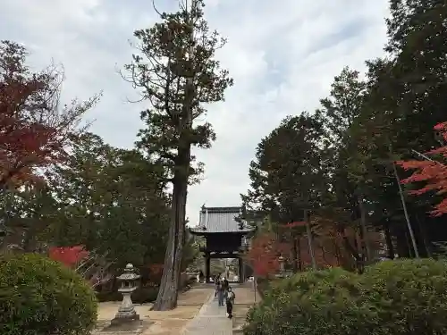 井山 宝福寺(岡山県)