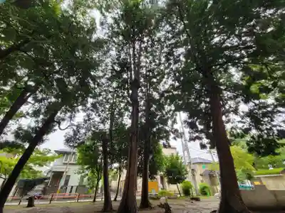 本太氷川神社のその他建物