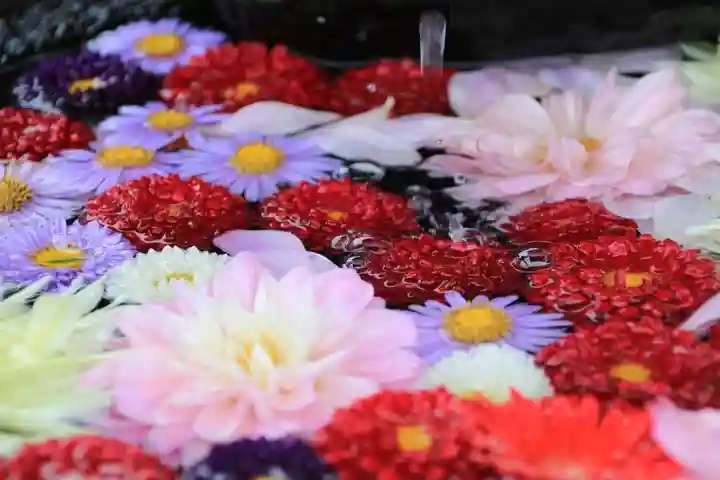 大鏑神社の手水舎