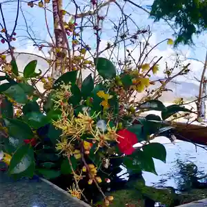 高司神社〜むすびの神の鎮まる社〜(福島県)(2024年03月09日(土) 14時01分30秒投稿)