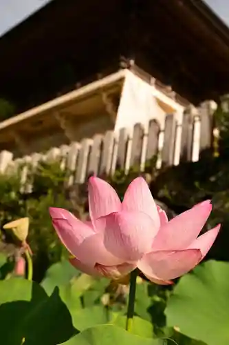 定福寺(高知県)