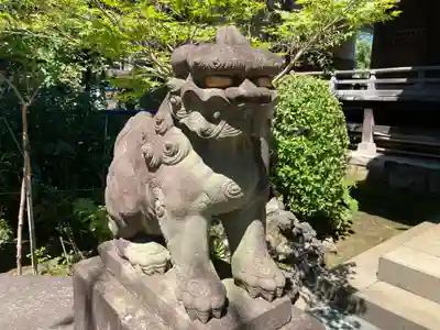 白山神社の狛犬