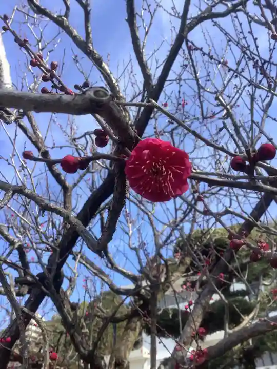 慶昌院(愛知県)