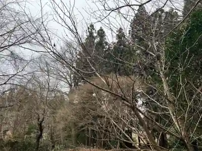 大宮温泉神社(栃木県)