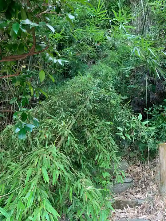 三峯神社(千葉県)