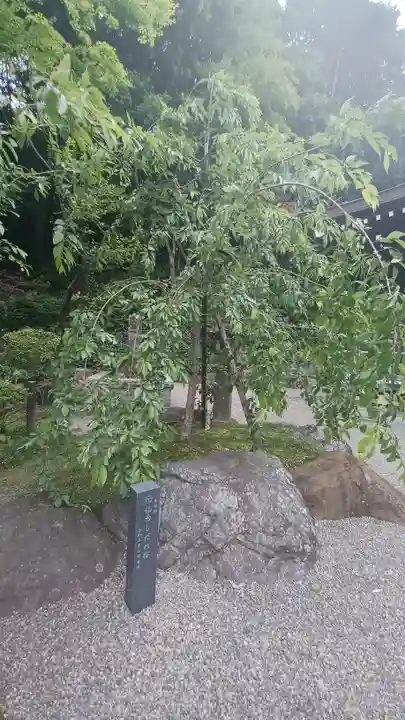 貫井神社(東京都)