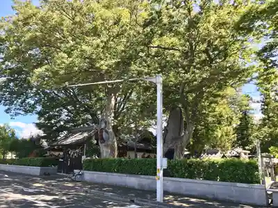 松本神社(長野県)