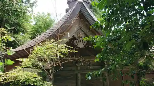 渋川八幡宮の本殿・本堂