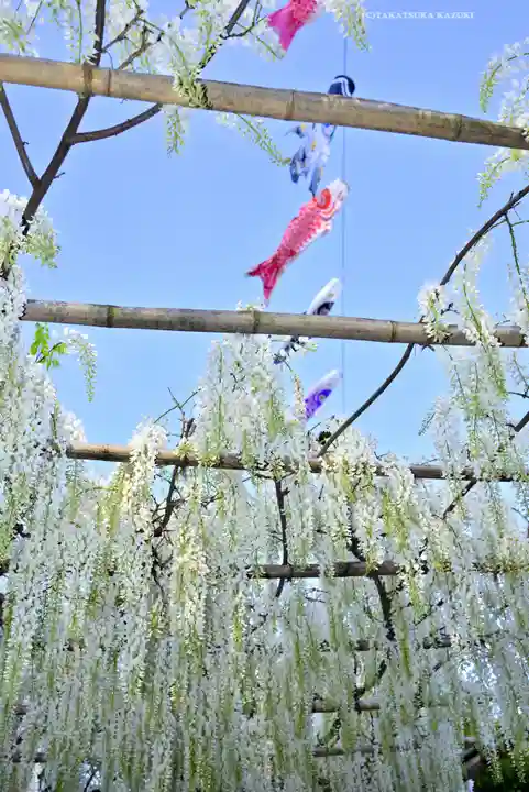 白旗神社(神奈川県)