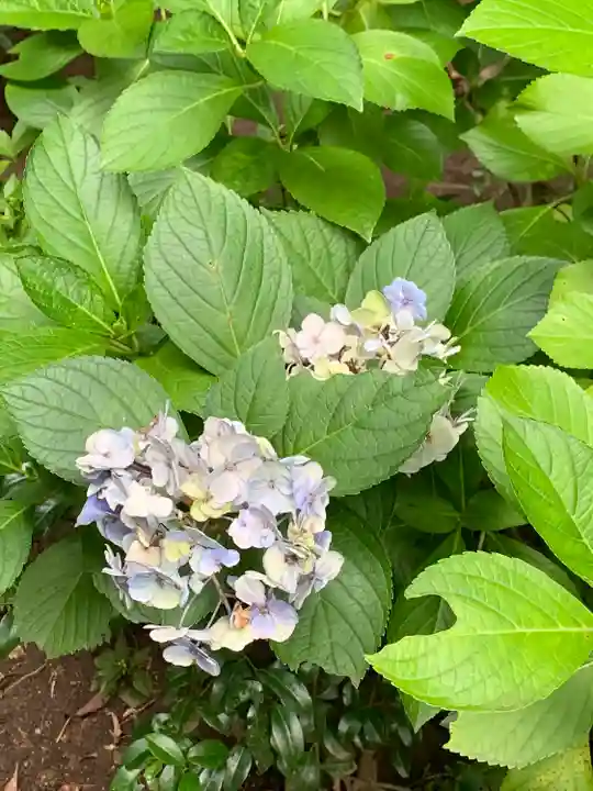 法華寺(神奈川県)