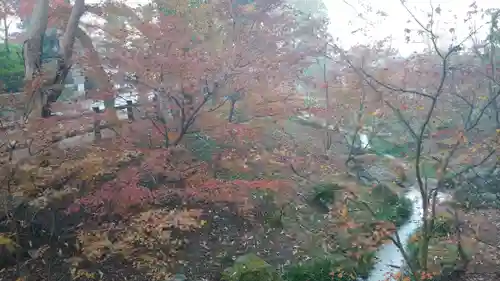 伏見稲荷大社の自然