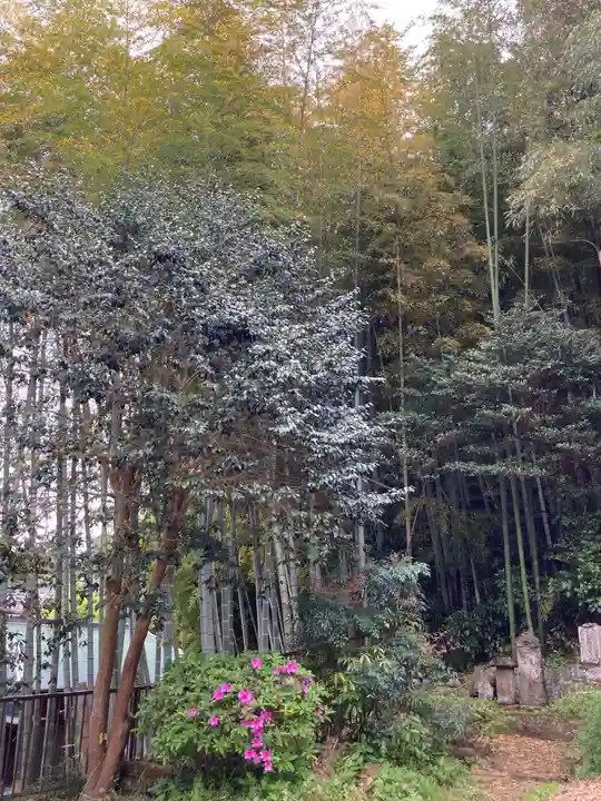 正蔵院(神奈川県)
