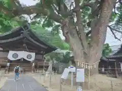 艮神社(広島県)