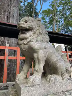 佐々尾神社(京都府)