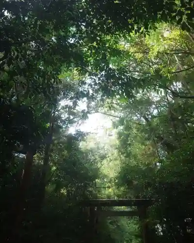 伊勢神宮外宮（豊受大神宮）の景色