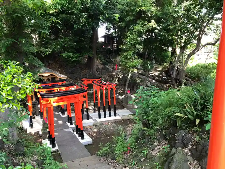 澤蔵司稲荷(慈眼院)の鳥居