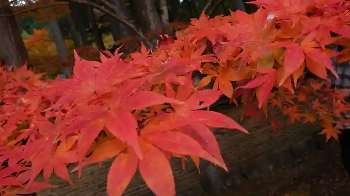 古峯神社の自然