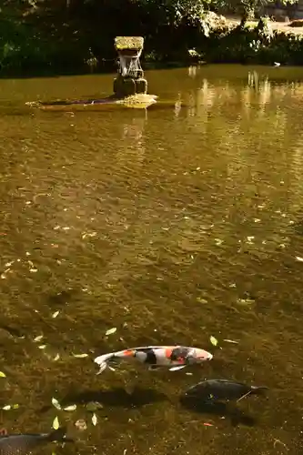 高千穂神社(宮崎県)