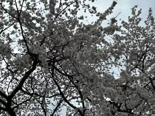 長野縣護國神社(長野県)