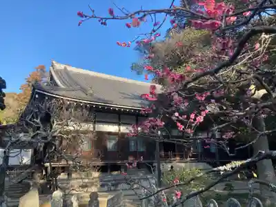円覚寺(神奈川県)