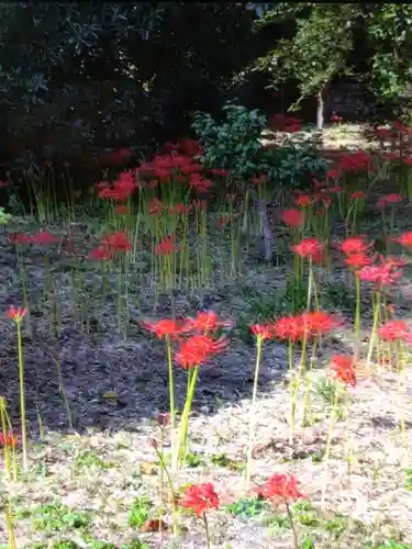 福蔵院(東京都)
