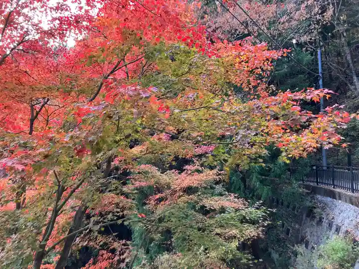 武蔵御嶽神社(東京都)
