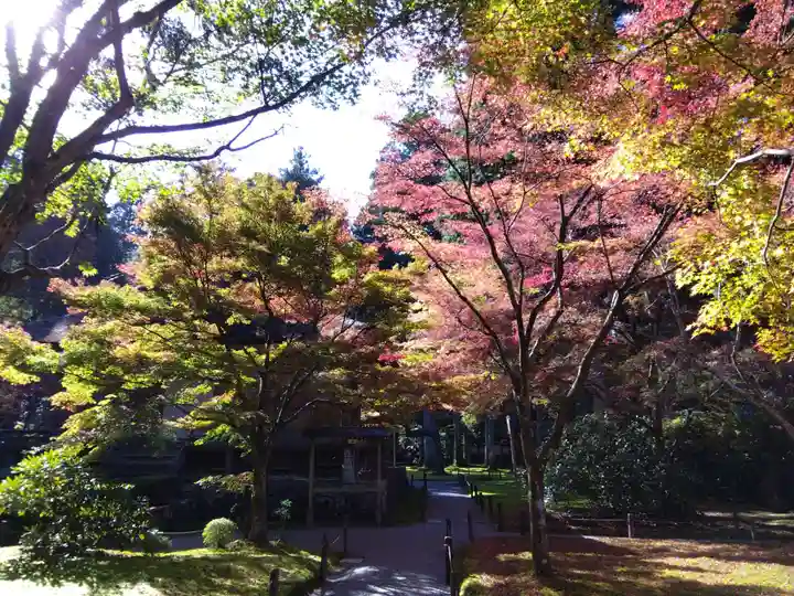 三千院門跡(京都府)