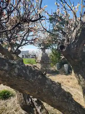 搭ノ木稲荷神社(栃木県)