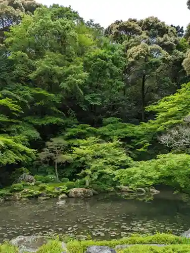 南禅院(京都府)