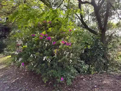 石巻神社山上社の自然