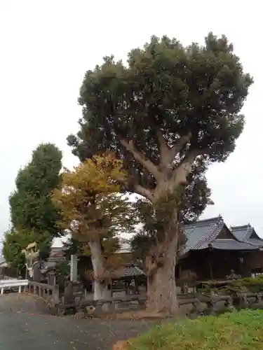 花宗神社の自然