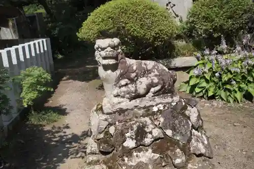 筑波山神社の狛犬