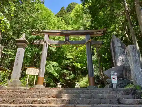 戸隠神社宝光社の鳥居