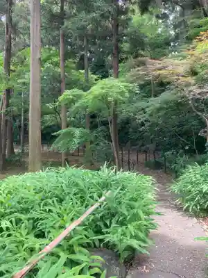 本土寺(千葉県)