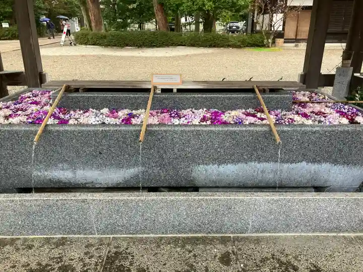 射水神社の{uncategorized: "未分類", other: "その他", undefined: "問題あり", building: "その他建物", grave: "お墓", sacred_gate: "鳥居", guardian: "狛犬", statue: "像", buddha: "仏像", history: "歴史", nature: "自然", garden: "庭園", animal: "動物", pagoda: "塔", temizu: "手水舎", mountain_gate: "山門・神門", sanctuary: "本殿・本堂", subordinate: "末社・摂社", art: "芸術", scenery: "景色", jizo: "地蔵", ema: "絵馬", goshuin: "御朱印", omikuji: "おみくじ", items: "授与品その他", amulet: "お守り", goshuincho: "御朱印帳", eats: "食事", festival: "お祭り", votive_dance: "神楽", shichigosan: "七五三参", wedding: "結婚式", experience: "体験その他", initially: "初詣", around: "周辺", anti_infection: "感染症対策"}