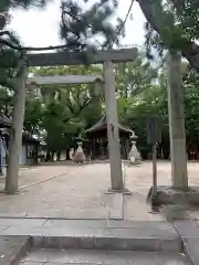 八幡社（白山社八幡社）の鳥居