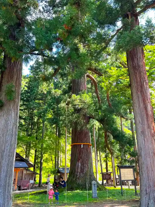 槻本神社(岐阜県)