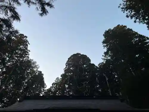 大宮温泉神社(栃木県)