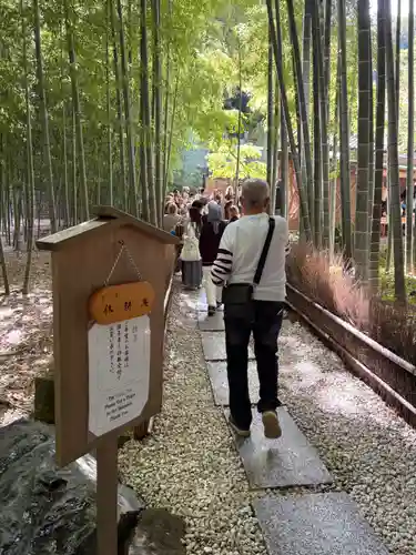報国寺(神奈川県)