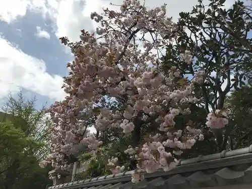 千葉神社の自然