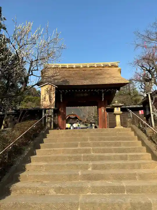 深大寺(東京都)