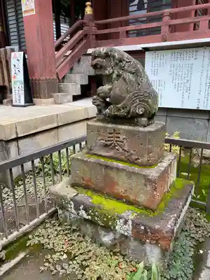 柏神社の狛犬