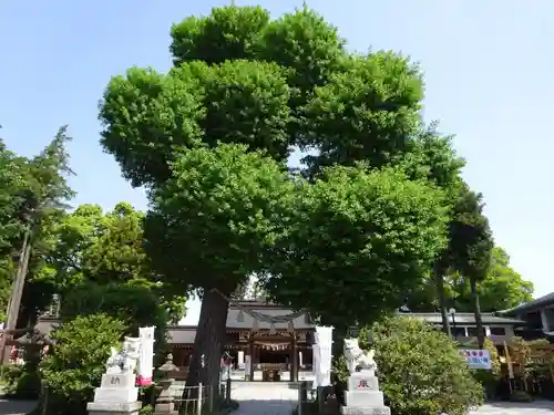 亀ケ池八幡宮の自然