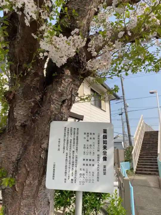 茶屋薬師堂の自然