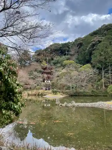 浄瑠璃寺(京都府)
