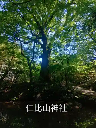 仁比山神社(佐賀県)
